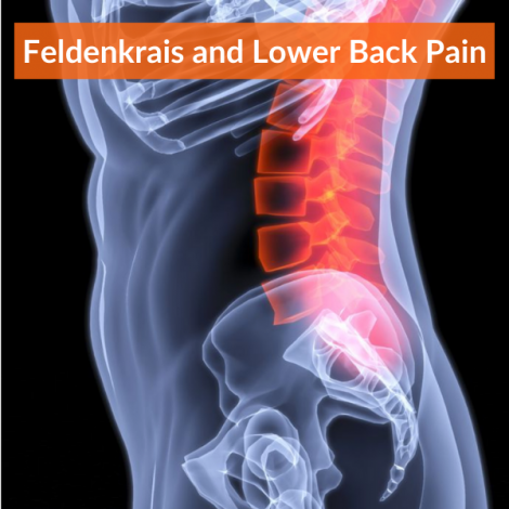 Feldenkrais for Lower Back Pain - Sunyata Movement Studio Inc.