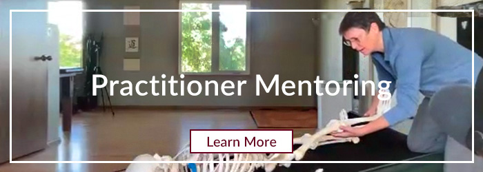 Practitioner Mentoring